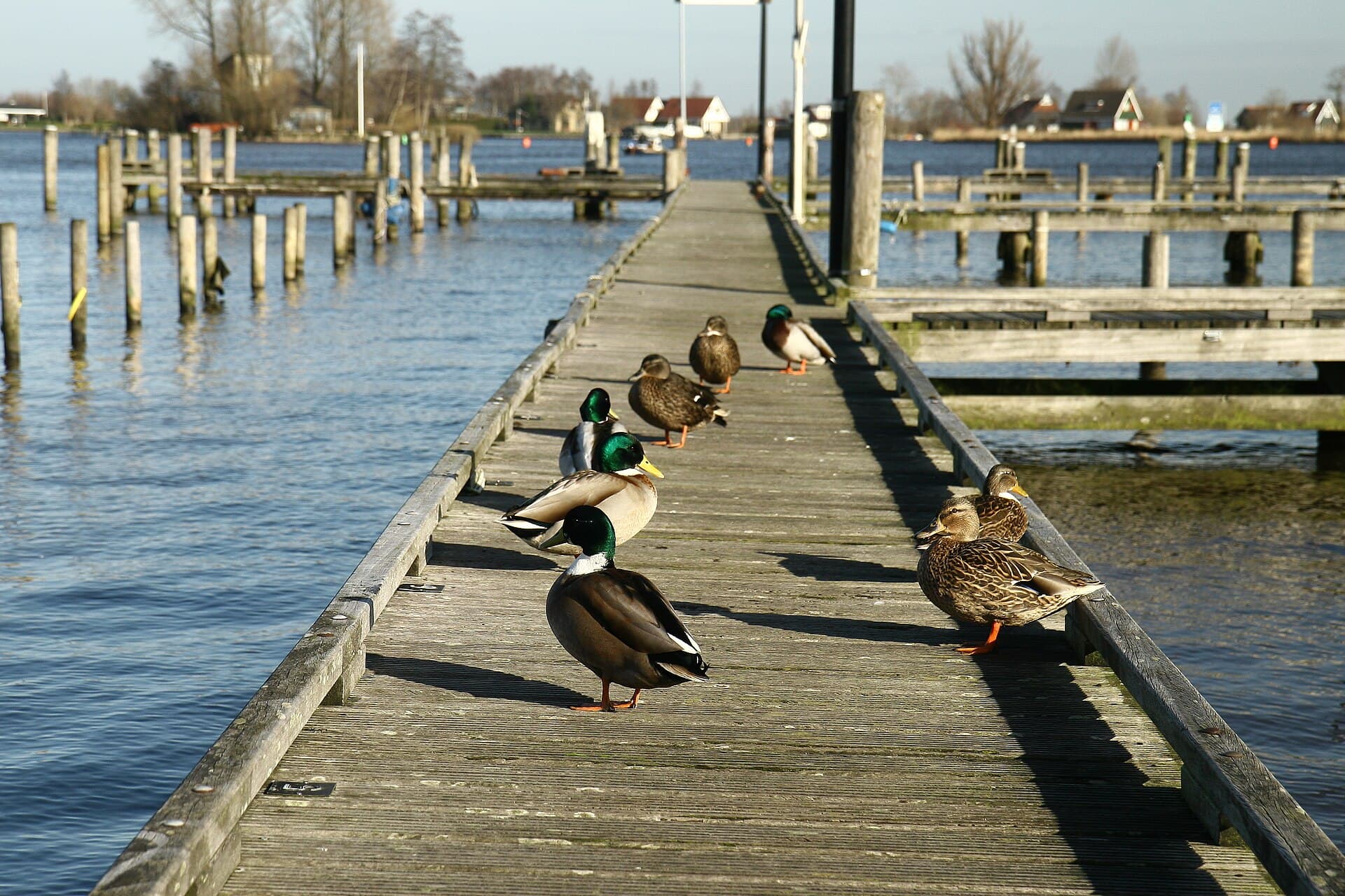Hellingshaven in Grou