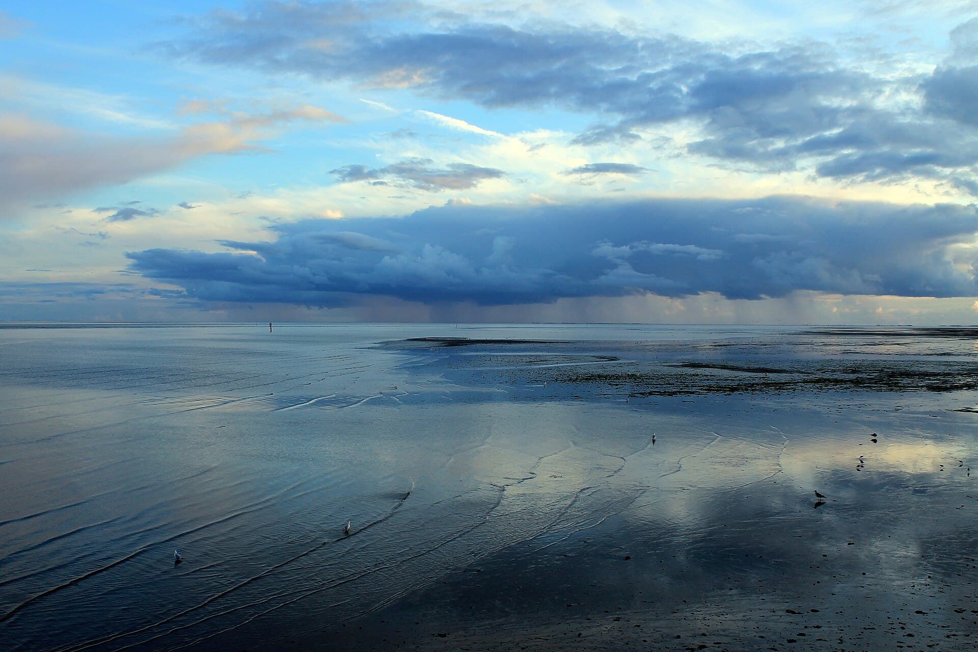 Rømø Havn en Havneby