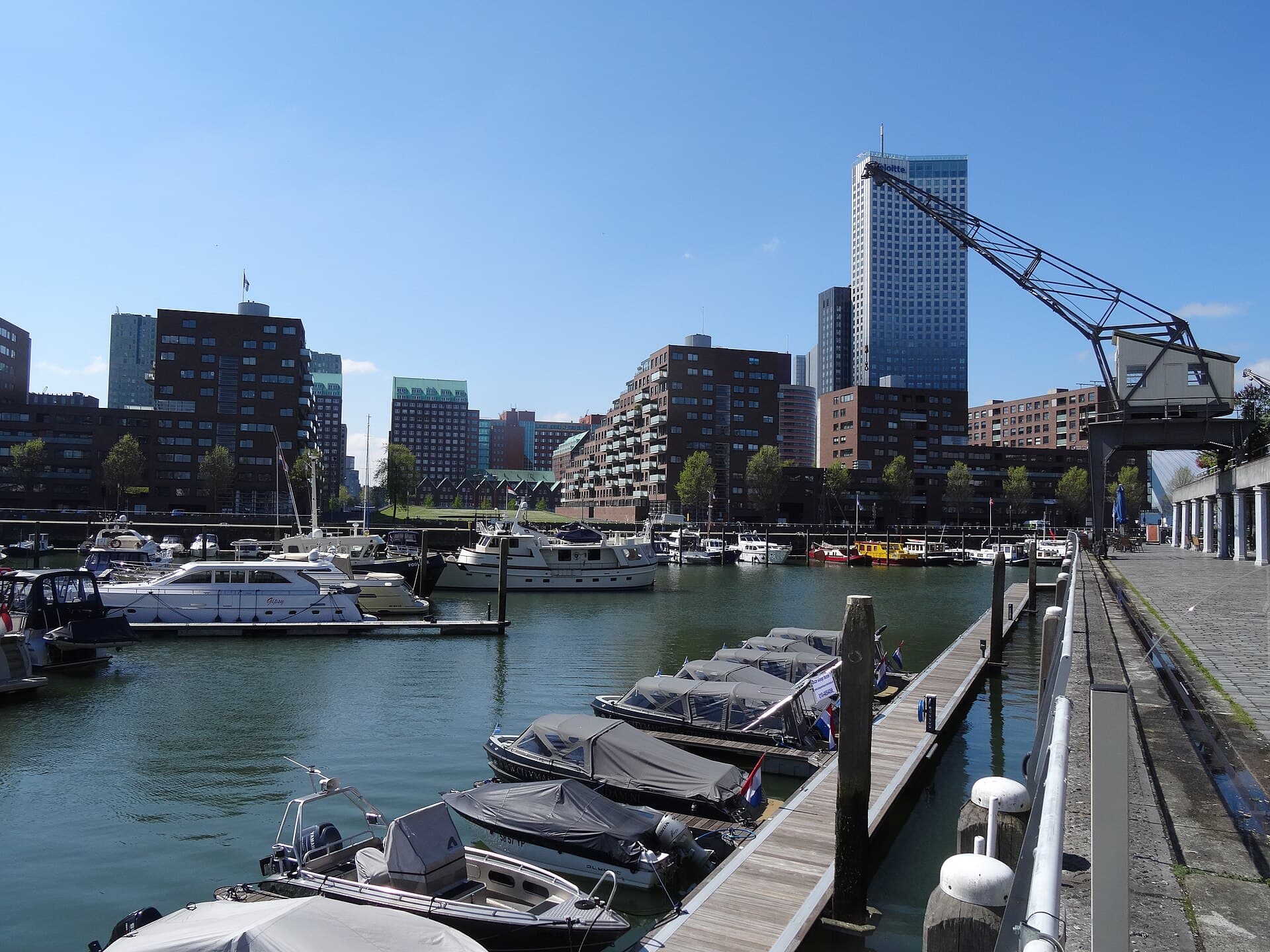 Rotterdam Marina