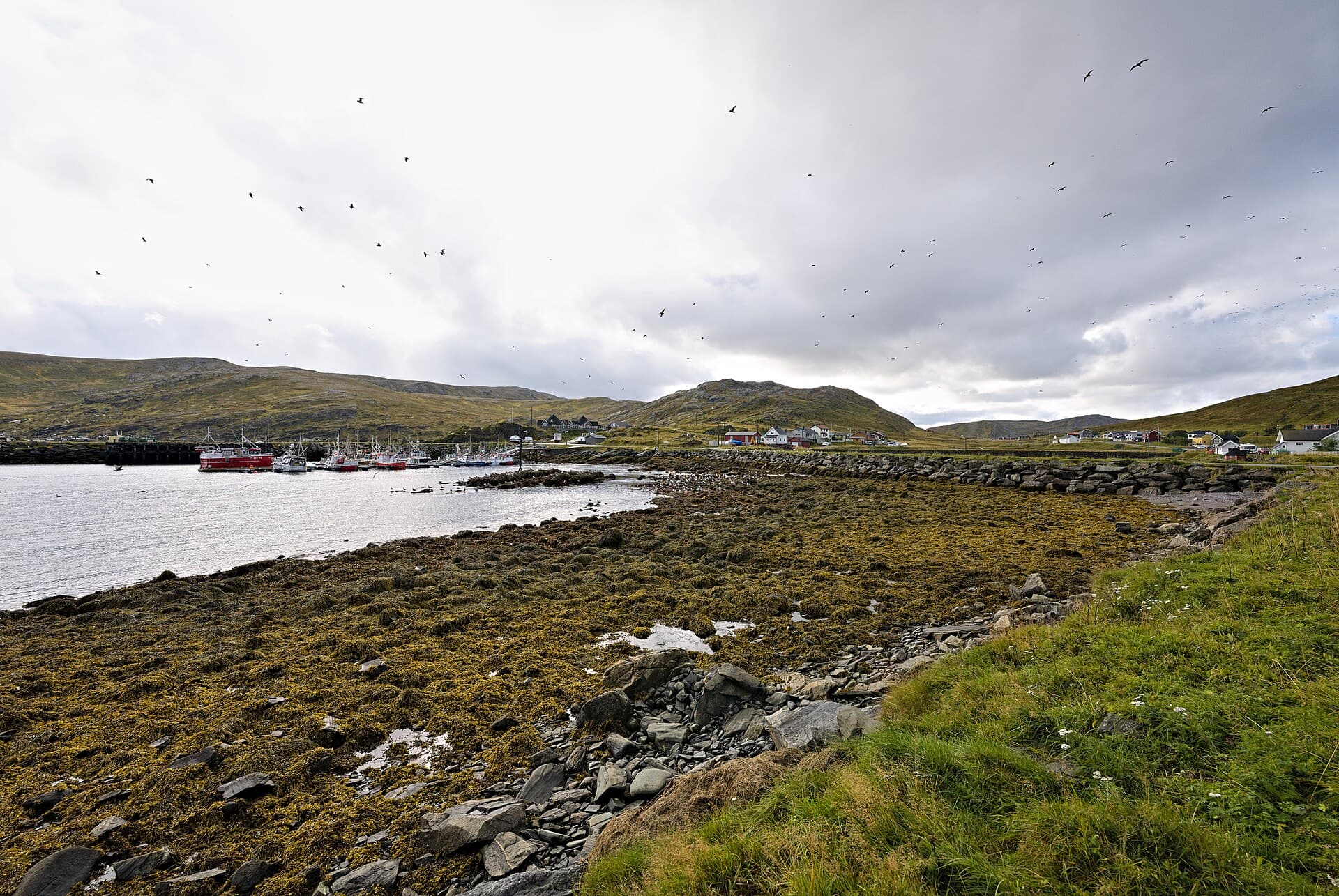 Skarsvåg in Nordkapp