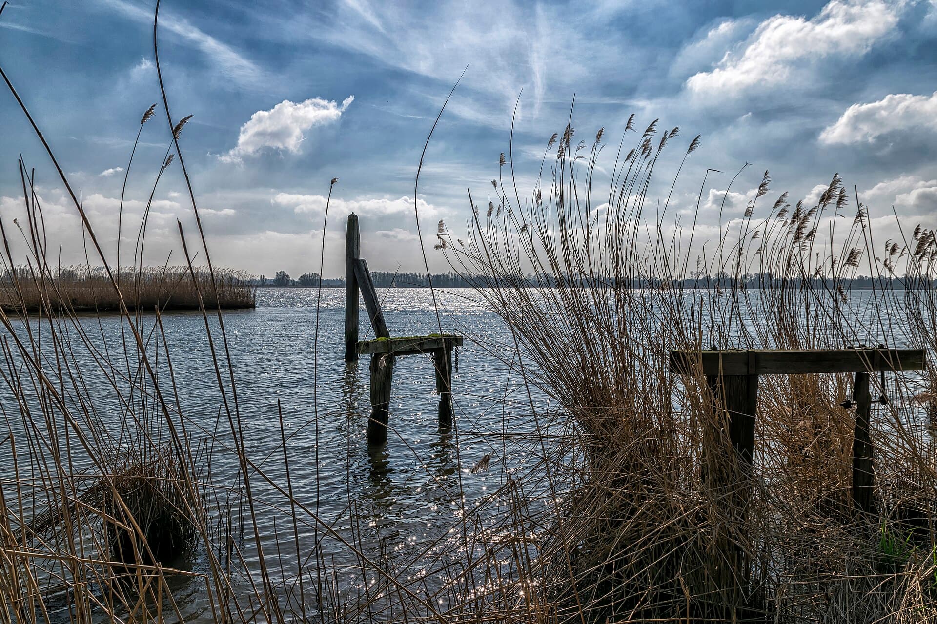 Zuidhaven in Dordrecht
